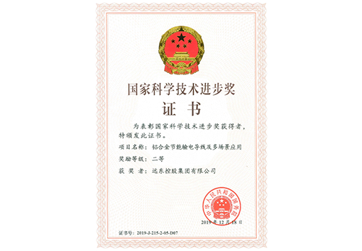 國家科學(xué)技術(shù)進步獎二等獎